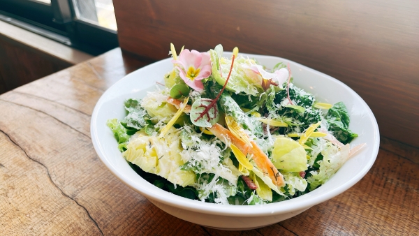 春キャベツと春野菜のグリーンサラダ