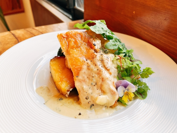 新潟産越の鶏のチキンソテー、ブルーチーズソースがけ